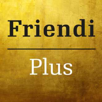Organizer Friendi Plus EN
