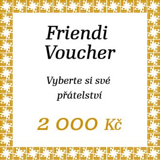 Voucher Friendi online