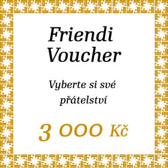 Voucher Friendi online