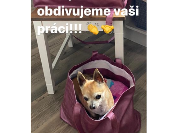 Děkujeme moc a obdivujeme vaši práci !